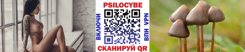 где купить наркоту  Заполярный  Псилоцибиновые грибы ЛСД 